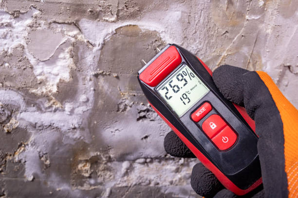 Best Emergency Mold Removal  in Madison, FL