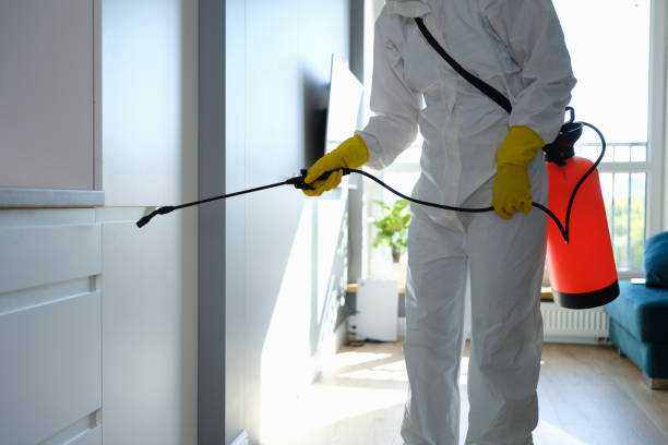 Best Mold Remediation  in Madison, FL