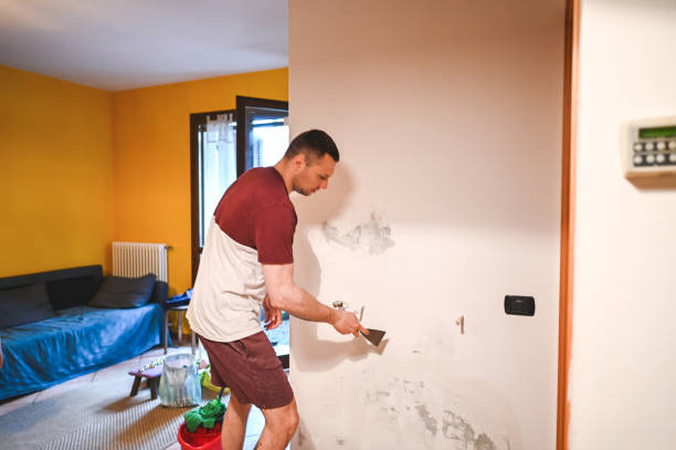 Best Black Mold Removal  in Madison, FL