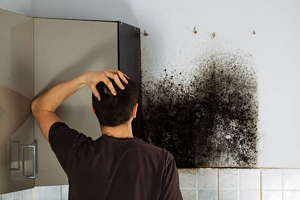 Mold Testing and Removal in Madison, FL